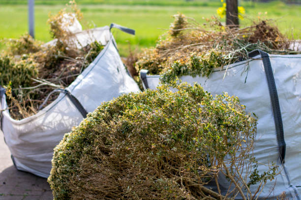 Best Commercial Cleanout Services  in Park View, IA